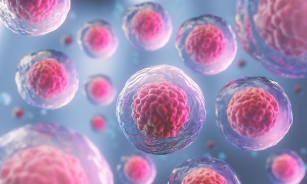 Stem Cell Therapy